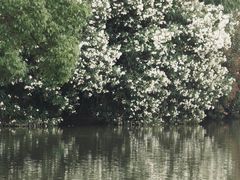 -黄兴公园
