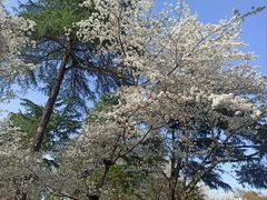 -幕燕滨江·长江观音景区