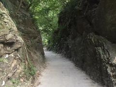 -太鲁阁公园