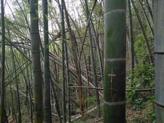 -会稽山峡洞漂流-上青古道