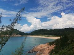 -广东惠东海龟国家级自然保护区