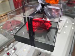 -ROSEONLY诺誓(磐基中心店)