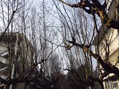 -四川农业大学(雅安校区)