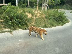 -大连森林动物园