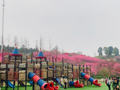 -秀丽东方