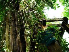 iphone_upload_pic-郑州植物园