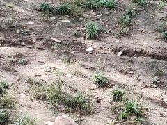 -哈尔滨北方森林动物园