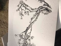 -香雪海