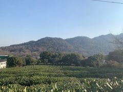 -中国茶叶博物馆(双峰馆区)