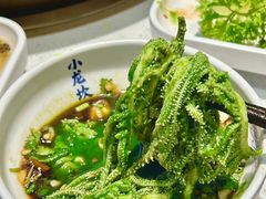 -小龙坎火锅(总店)