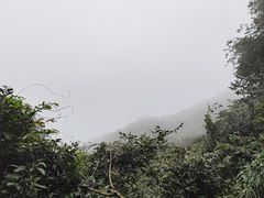 -海南铜鼓岭景区