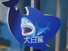 -重庆欢乐海底世界