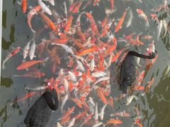 -南京汤山紫清湖生态旅游温泉度假区