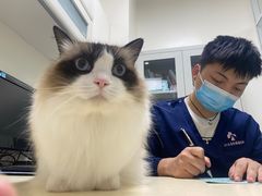 -全心全意连锁动物医院(加州店)