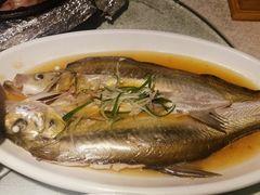 清蒸太湖白鱼-乾园(天河城店)