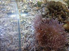 -沙沙哗啦海洋馆(华宇百花谷店)