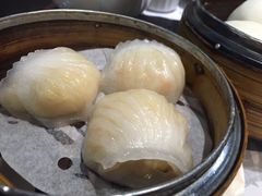 -糖朝(尖沙咀店)