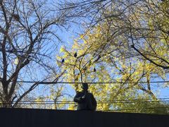 -嵩祝寺及智珠寺