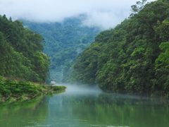 -九龙江国家森林公园