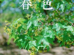 -国家植物园