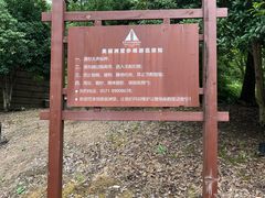 -美丽洲堂