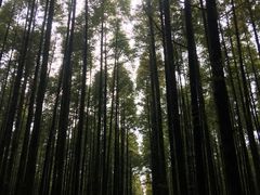 -山王坪喀斯特国家生态公园