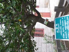 -青岛崂山太清宫
