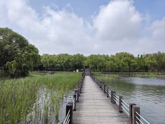 -苏州太湖湖滨国家湿地公园