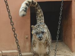 -青藏高原野生动物园