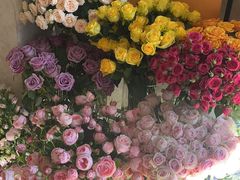 -SONGUOLIFE松果咖啡(七莘路店)