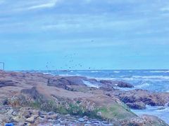 -威海国际海水浴场旅游区