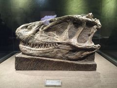 -自贡恐龙博物馆