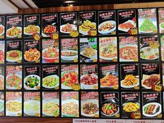 -邵年鸽(杨庄店)