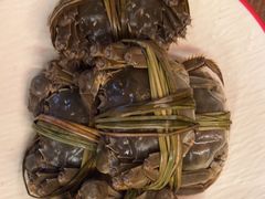 -牛New寿喜烧(金鹰世界店)