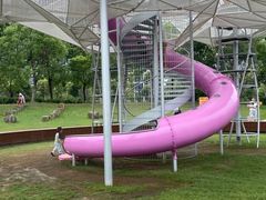 -春花秋色城市公园