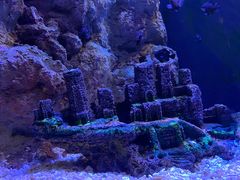 -成都浩海立方海洋公园