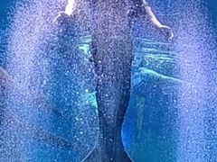 -哈尔滨波塞冬海底世界