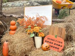 -HERRE·FARM 赫尔露营农场·团建聚会包场