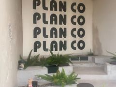 -PLAN CO