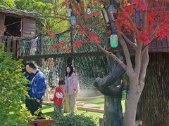 -耕渔小院·湖南鱼鲜(望城店)