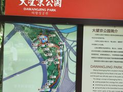 -大望京公园