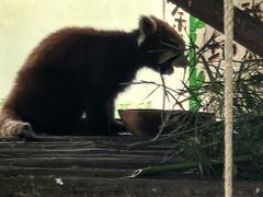 -合肥野生动物园