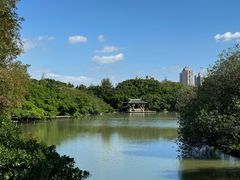 -江心屿景区