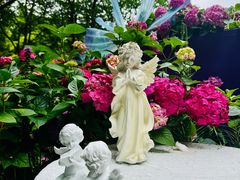 -上海滨江森林公园