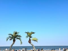 -巧克力渔家.小船海鲜家常菜(三浴场店)