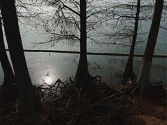 -滆湖低碳生态公园