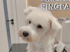 -瑞派康怡24h宠物医院·犬猫医疗中心·微创绝育(瑞景分院)