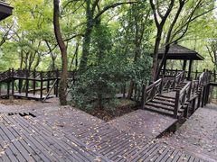 -宝岩生态观光园