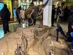 -自贡恐龙博物馆