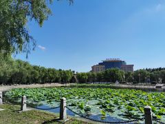 -哈尔滨师范大学(江南校区)